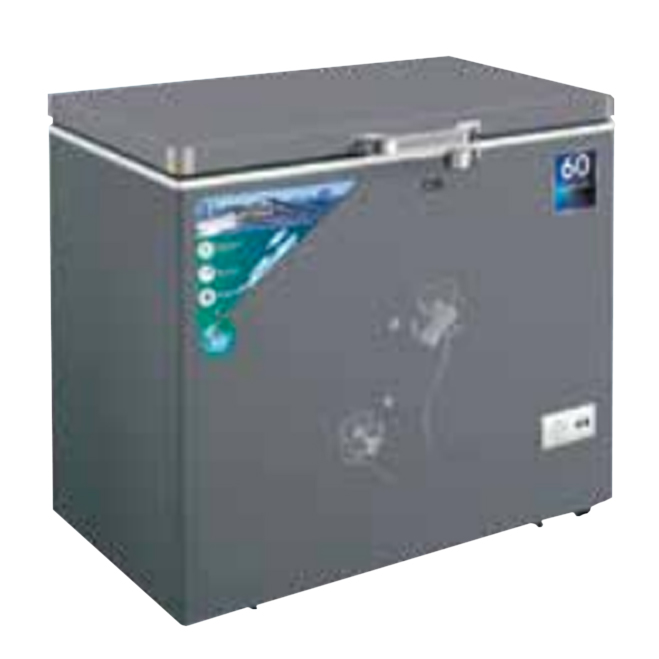 CG 330 Liter Chest Freezer