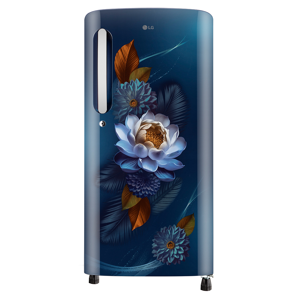 LG 190 Liter Single Door Refrigerator (GLB205ABWB.ABWQ) model GLB205ABWB.ABWQ front view - GharOne Nepal