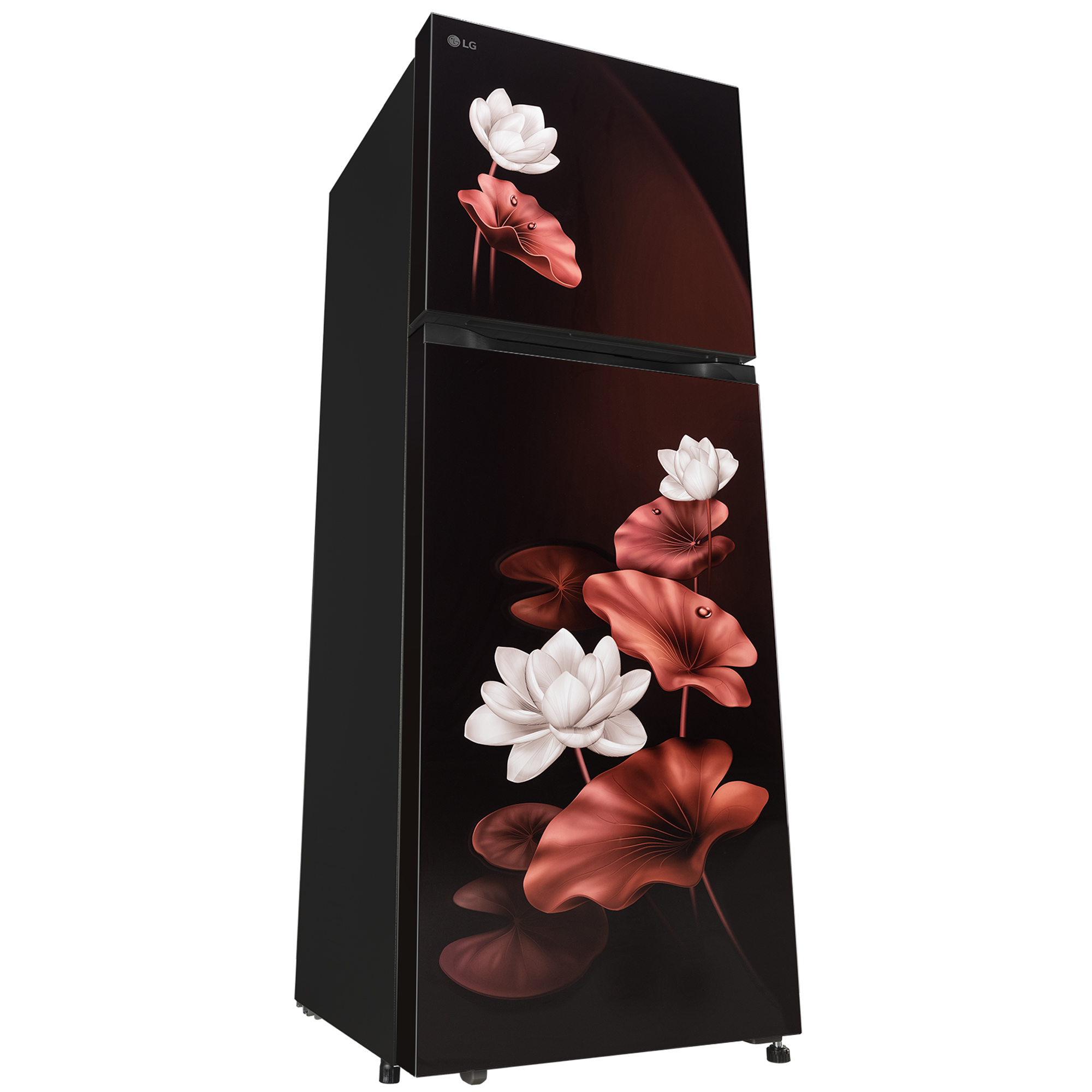 LG 265 Liter Double Door Refrigerator (GLM270BSLI.ASLQ) model GLM270BSLI.ASLQ front view - GharOne Nepal view 5