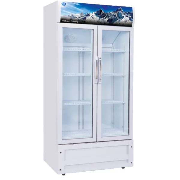 CG Show Case 540 Ltrs (CG5403SC) model CG5403SC front view - GharOne Nepal