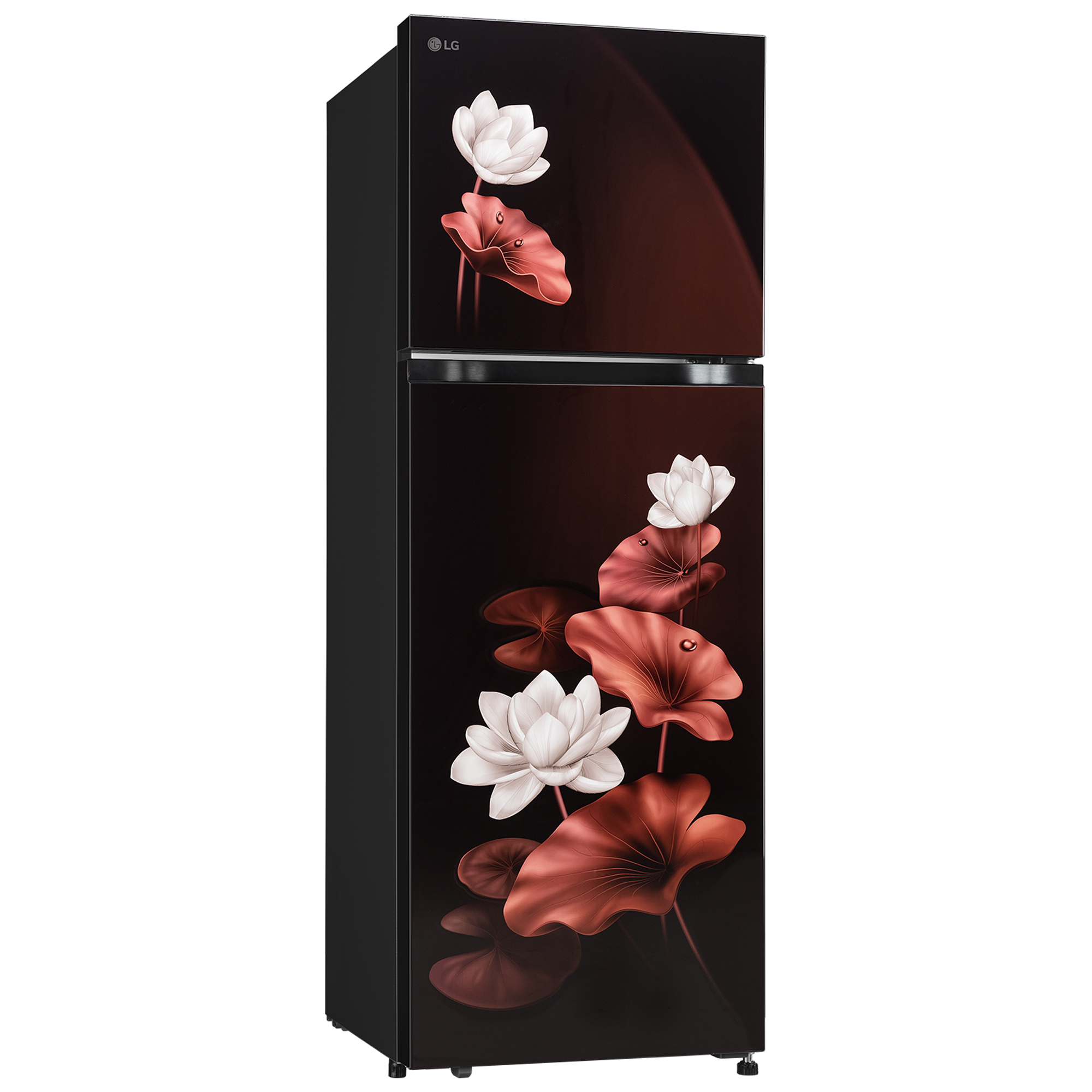 LG 265 Liter Double Door Refrigerator (GLM270BSLI.ASLQ) model GLM270BSLI.ASLQ front view - GharOne Nepal view 3