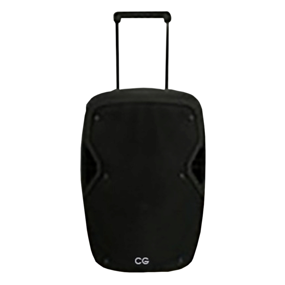 CG 12 Inch Trolley Speaker With Guitar Input (CGTS12H01) model CGTS12H01 front view - GharOne Nepal