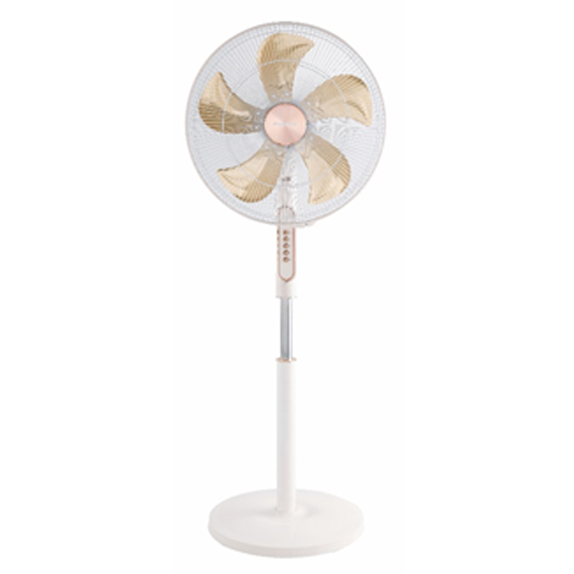 CG 18 Inch Stand Fan (CGMRSF18Z05) model CGMRSF18Z05 front view - GharOne Nepal