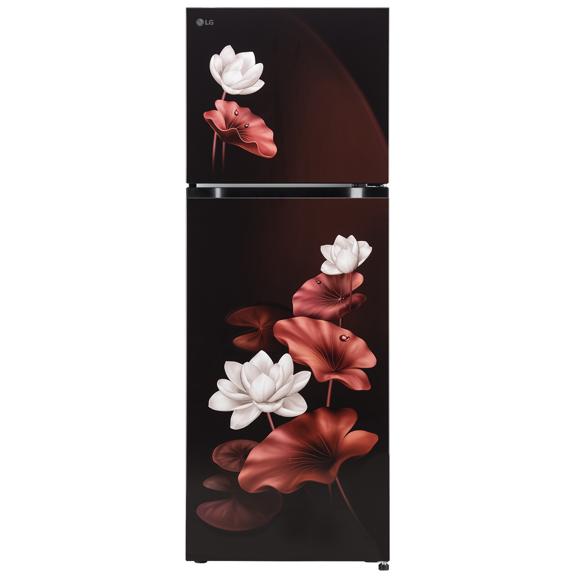 LG 265 Liter Double Door Refrigerator (GLM270BSLI.ASLQ) model GLM270BSLI.ASLQ front view - GharOne Nepal