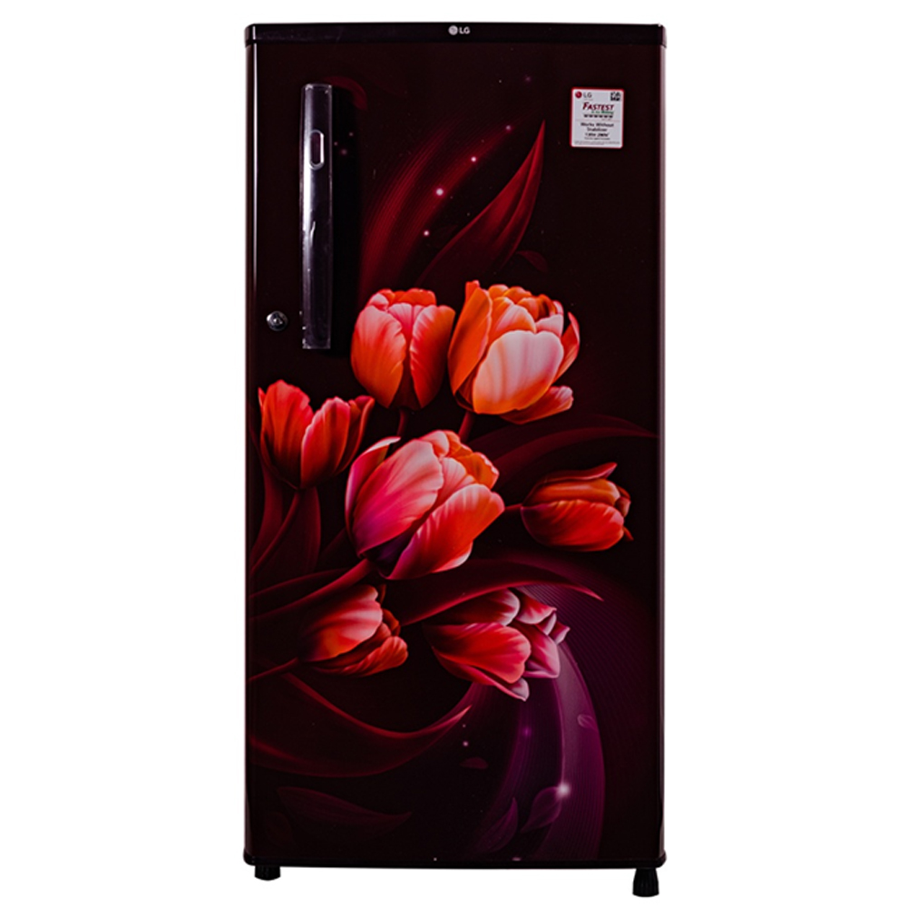 LG 190 Liter Single Door Refrigerator (GLB204OSTC.BSTQ) model GLB204OSTC.BSTQ front view - GharOne Nepal