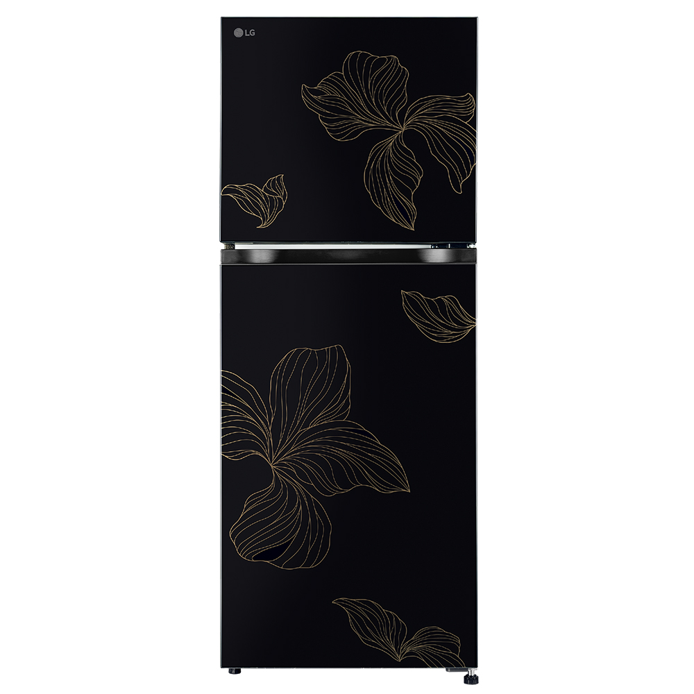 LG 238 Liter Double Door Refrigerator (GLM250BROI.AROQ) model GLM250BROI.AROQ front view - GharOne Nepal
