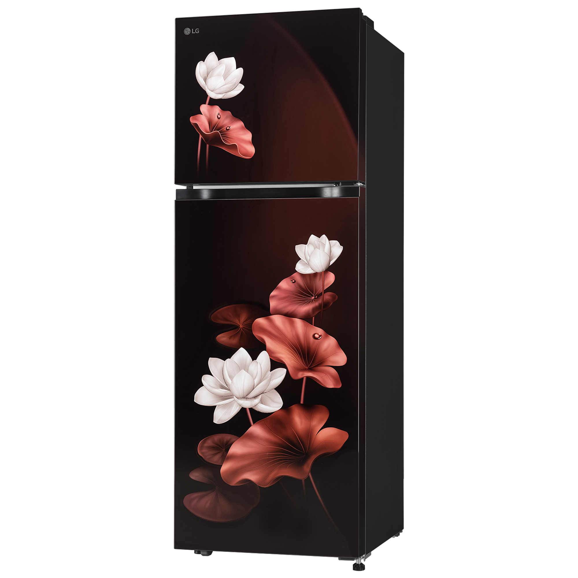 LG 265 Liter Double Door Refrigerator (GLM270BSLI.ASLQ) model GLM270BSLI.ASLQ front view - GharOne Nepal view 4